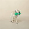 Pet Shop by Fringe Studio dog toys Shark Week Rex Plush Squeak Dog Toy
