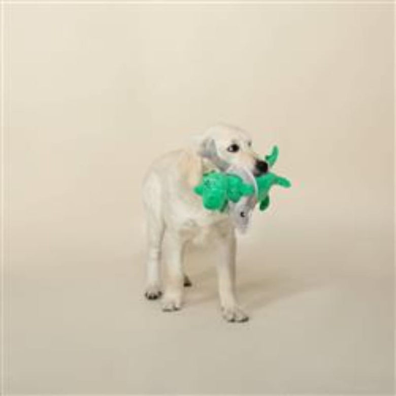 Pet Shop by Fringe Studio dog toys Shark Week Rex Plush Squeak Dog Toy