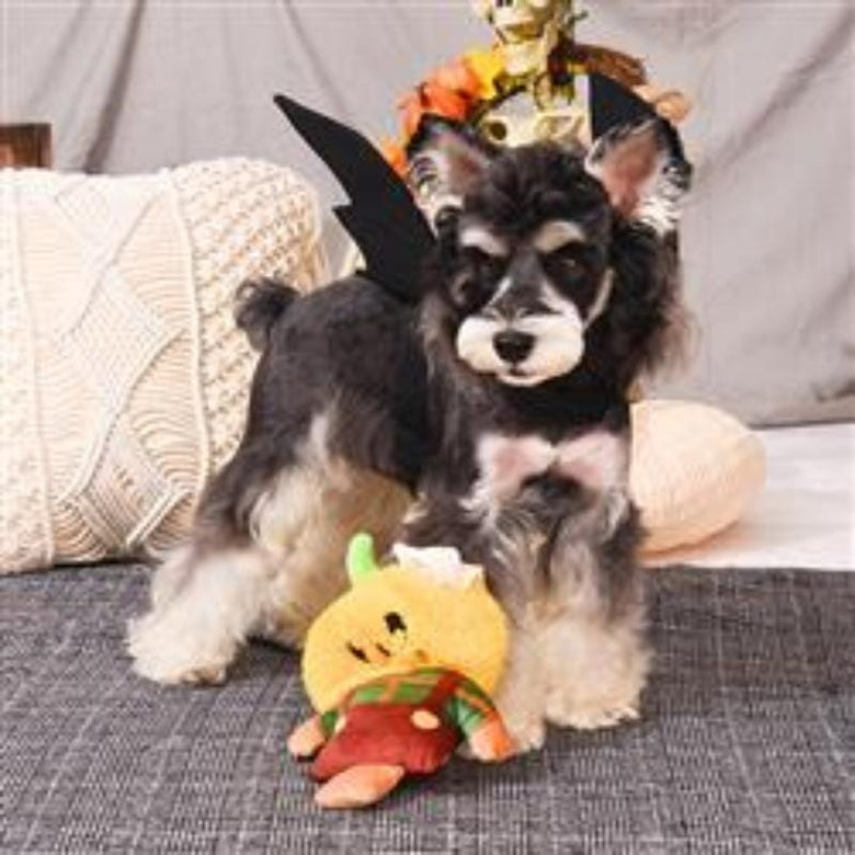 HugSmart Pet dog toys Howloween Night — Scarecrow Dog Toy