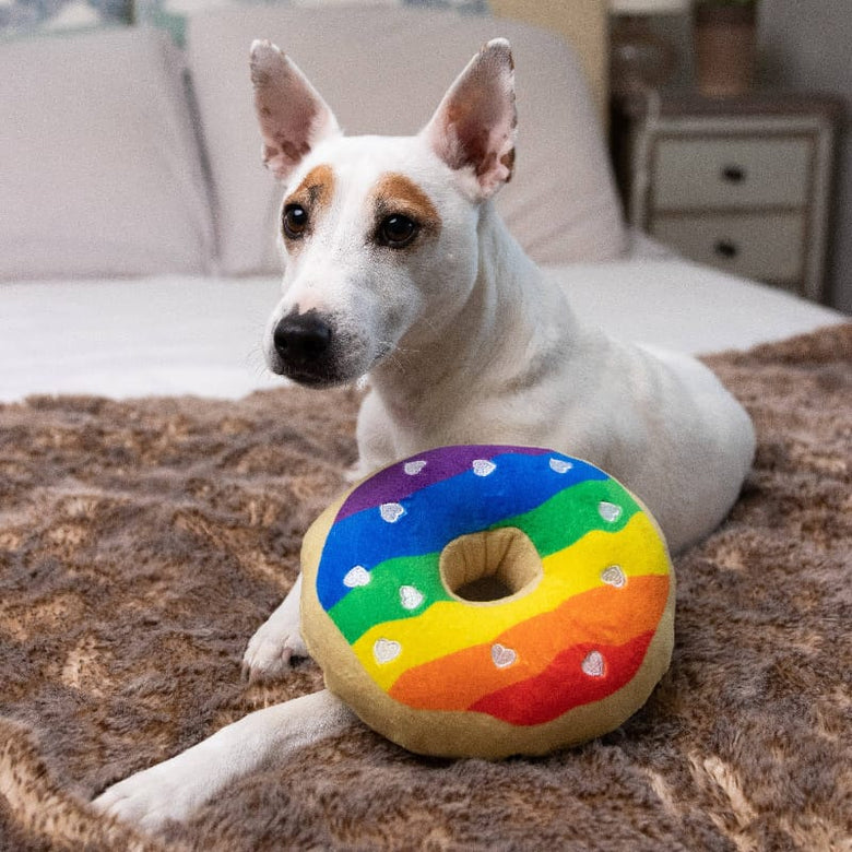 Huxley & Kent dog toys Rainbow Pride Plush Squeaky Donut Dog Toy - 2 Sizes