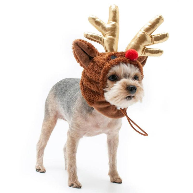 Dogo Pet Hats Christmas Rudolph Dog Hat