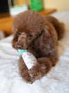Thoozy dog toys Happy Birthday Bone, Cupcake, Party Hat Small Plush Dog Toy Set - 3 Pk