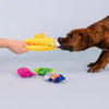 Petshop by Fringe Studio Dog Toys Into The Deep Hide & Seek Interactive Plush Squeak Dog Toy Set - 4 Pc