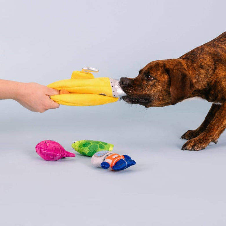 Petshop by Fringe Studio Dog Toys Into The Deep Hide & Seek Interactive Plush Squeak Dog Toy Set - 4 Pc