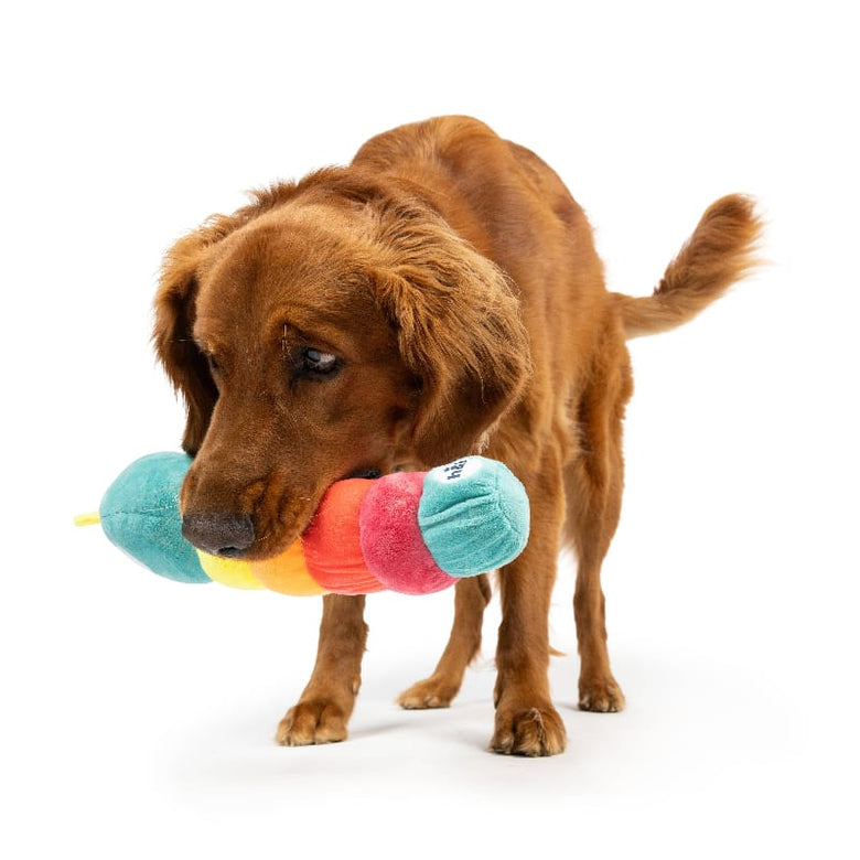 Huxley & Kent Dog Toys Fetchies Caterpillar Plush Squeak Dog Toy - 2 Sizes