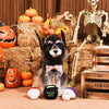 Hugsmart Products Inc dog toys Howloween Night Witches Brew Plush Dog Toy Set - 3 Pc