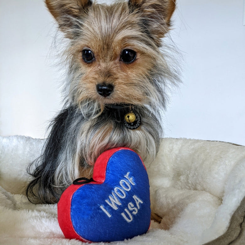 Paws & Stripes Heart Patriotic Plush Squeaky Dog Toy (Double Sided) - 2 Sizes