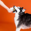 PetShop by Fringe Studio Toys Halloween One Wicked Ghost Natural Latex Squeak Dog Chew Toy