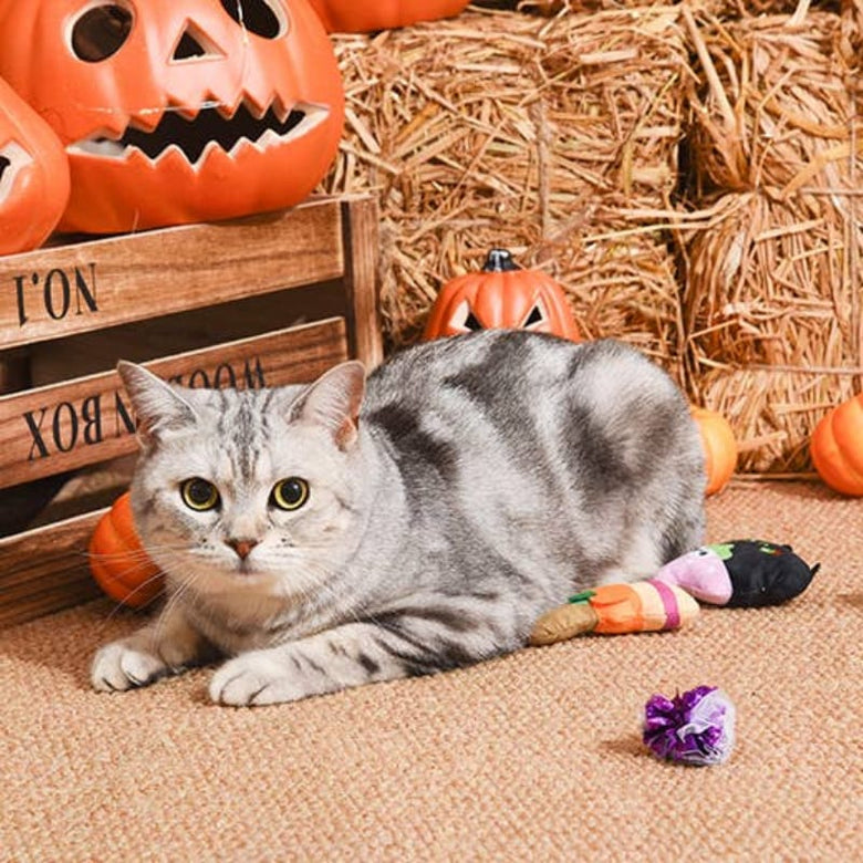 Hugsmart Products Inc dog toys Spooky Cats Witch's Brew Cat Toy Set - 3 Pc
