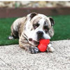 SodaPup dog toys Rubber Christmas Snowman Red Large Dog Toy