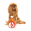 FuzzYard dog toys Holiday Ham Dog Toy