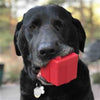 Soda Pup dog toys Rubber Gift Box Red Treat Dispensor Dog Toy
