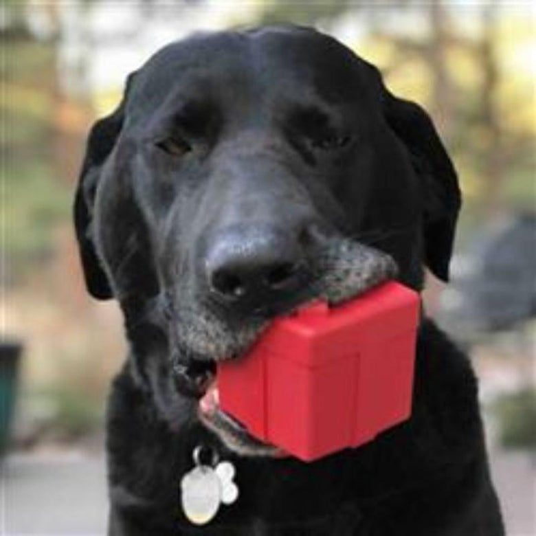 Soda Pup dog toys Rubber Gift Box Red Treat Dispensor Dog Toy