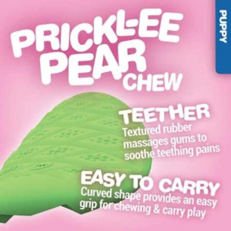 JW dog toys Puppy Teeth-ee Rubber Dog Toy Set - 2 Pc