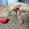 Huxley & Kent Cat Toys Chocolate Strawberry/Convo Heart Plush Cat Toy Set - 2 Pc