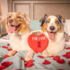 Huxley & Kent dog toys Fur Ever Lock Red Heart Plush Squeak Dog Toy