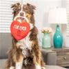 Huxley & Kent dog toys Fur Ever Lock Red Heart Plush Squeak Dog Toy