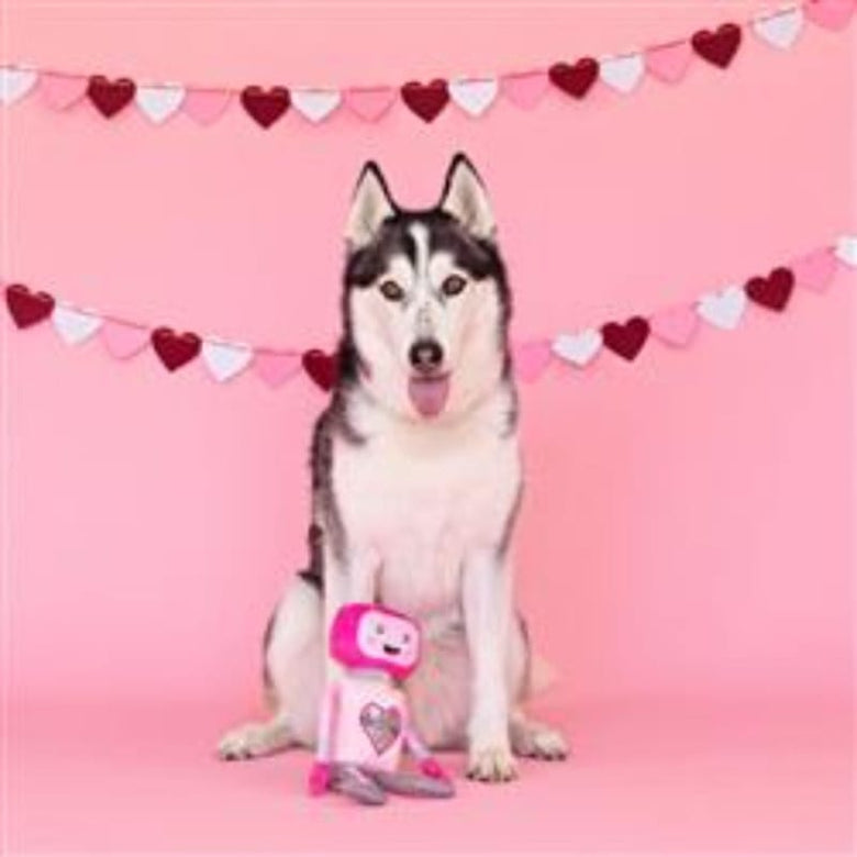 PetShop by Fringe Studio dog toys Will You Beep My Valentine Pink Plush Squeak Dog Toy