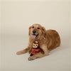 Pet Shop by Fringe Studio dog toys Girls Just Want To Have Sun Plush Dog Toy
