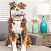 Huxley & Kent dog toys Grrrs Light Squeak Plush Dog Toy - 2 Sizes