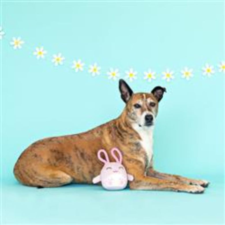 PetShop by Fringe Studio dog toys Ear-Resistible Bunny Rope Ears Spring Plush Squeak Dog Toy