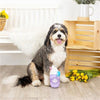 PetShop by Fringe Studio dog toys Cotton Tail Coffee Co. Spring Plush Squeak Dog Toy