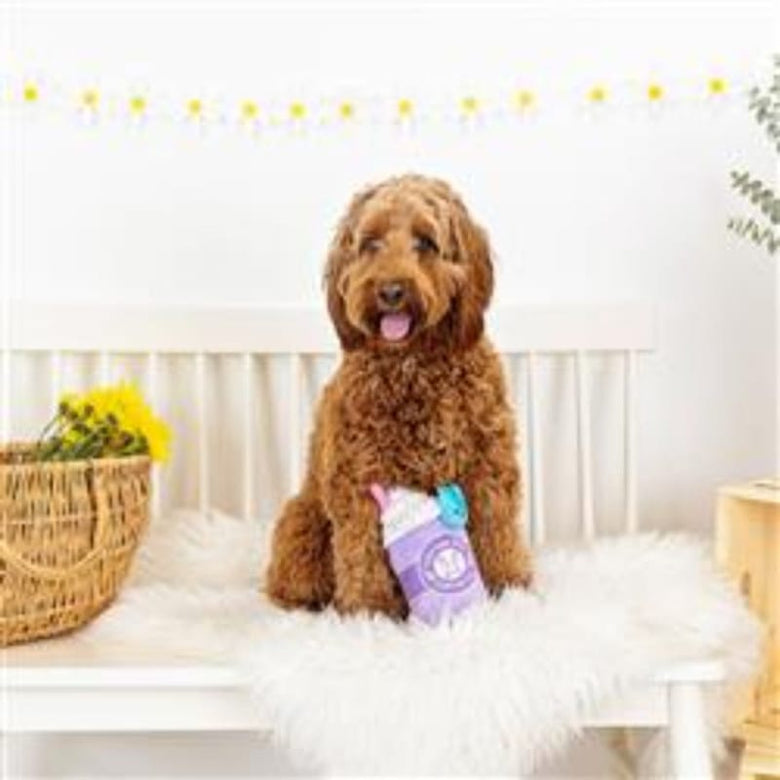 PetShop by Fringe Studio dog toys Cotton Tail Coffee Co. Spring Plush Squeak Dog Toy