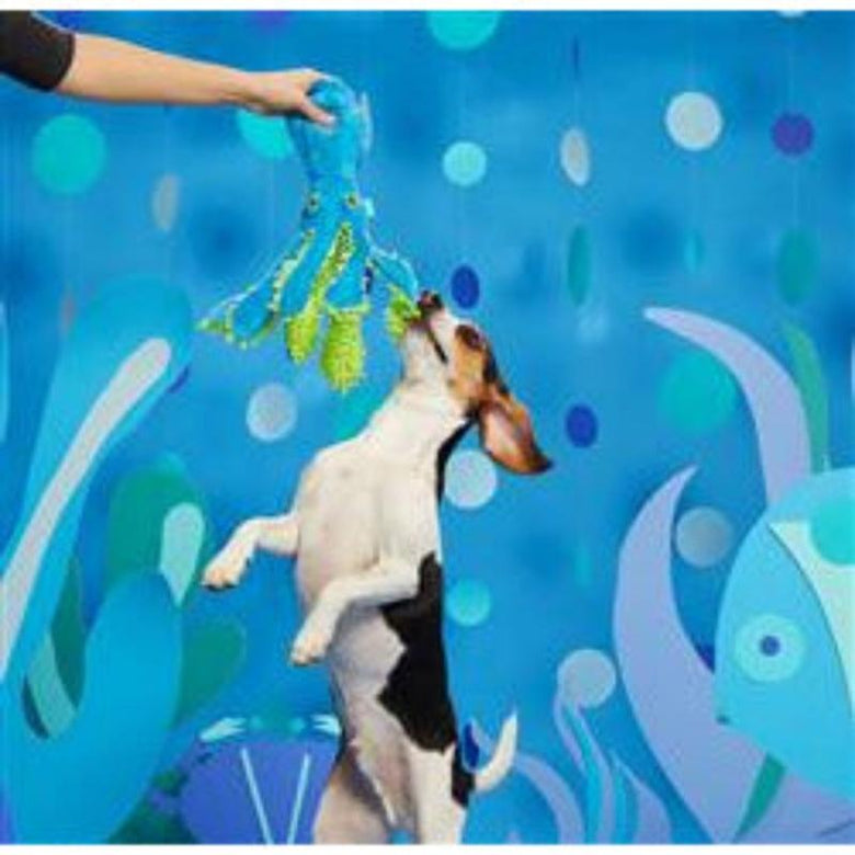 BARK dog toys Shifty Sid the Squid Dog Toy