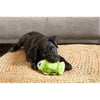 BARK dog toys Drop the Bass Dog Toy