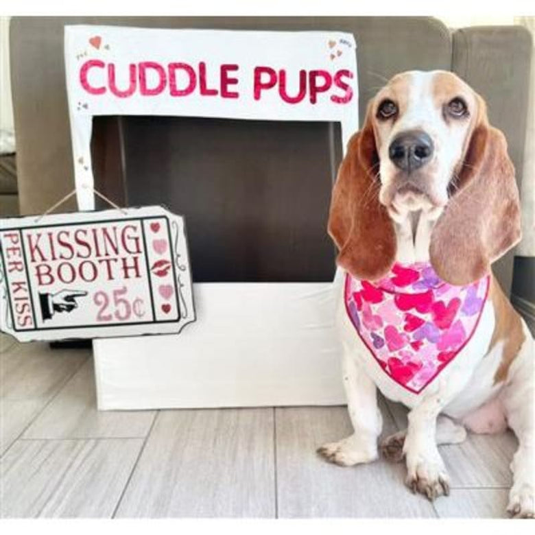 Hunter K9 Bandanas Valentine Lots of Hearts Dog Bandana
