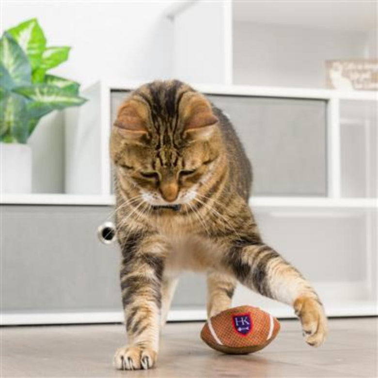 Huxley & Kent Cat Toys HK Football Cat Toy