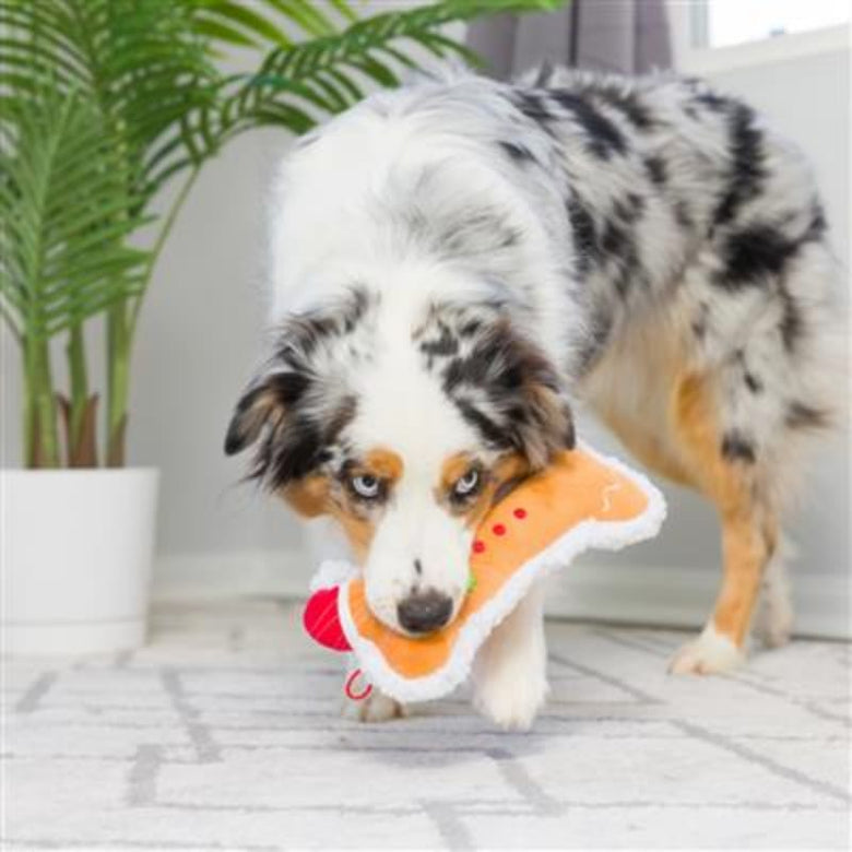 Huxley & Kent dog toys Gingerbread Bone Plush Squeak Dog Toy