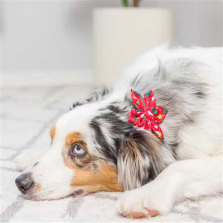Huxley & Kent Bow Tie LG Christmas Trees Pinwheel Holiday Pet Collar Attachment