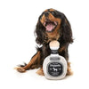 FuzzYard dog toys Silver Dogquila Squeak Plush Dog Toy