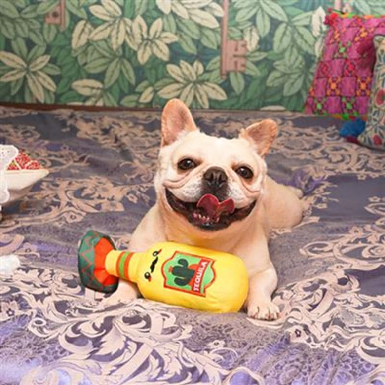HugSmart Pet dog toys Fiesta Chewsday Tquila Squeak Plush Dog Toy