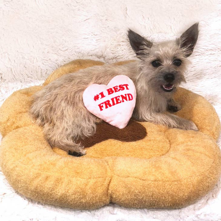 TONBO pet beds Paw Pet Bed and Heart Crinkle Toy
