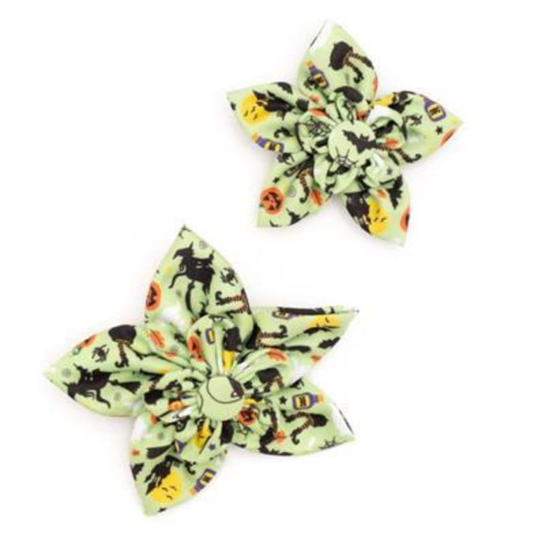 The Worthy Dog Bow Tie Witches Brew Lime Green Flower Pet Collar Attachment - 2 Sizes