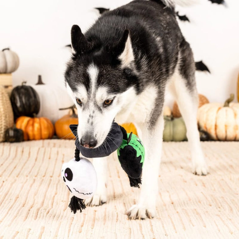 Pet Shop by Fringe Studio dog toys Halloween My Boo Crew Plush Squeak Rope Tug Dog Toy Set