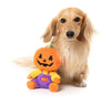 FuzzYard dog toys Halloween Pumpkin Jack O Chan Plush Squeak Dog Toy - Sm Size
