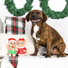 Pet Shop by Fringe Studio dog toys Here They Crumb Gingerbread Holiday Plush Squeak Dog Toy Set - 2 pc