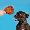 BARK dog toys Fall Season Tavern Turkey Leg Plush Squeak Dog Toy