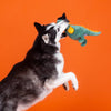 Petshop by Fringe Studio dog toys Candy Rex Halloween Witch Squeak Plush Dog Toy