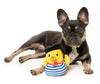FuzzYard dog toys Timotheé Chalaquack Yellow Duck Plush Squeak Dog Toy