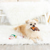 Christmas Never Sleigh Never Plush Squeaky Holiday Dog Toy Set - 3 Pc