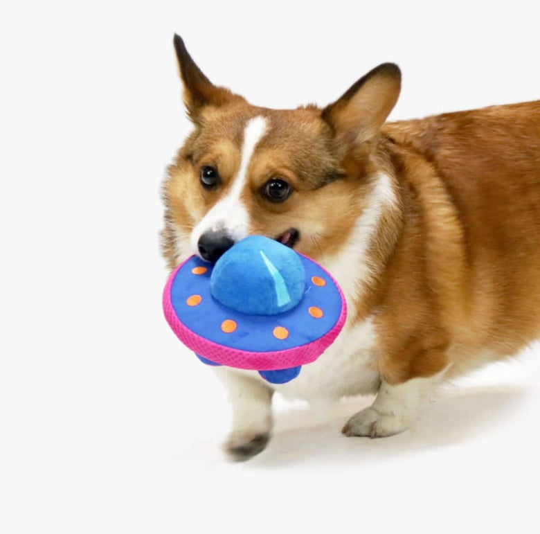 Hugsmart Products Inc dog toys Space Paws Blue Pink UFO Plush Dog Toy