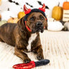 PetShop by Fringe Studio dog toys Cute lil Devil Dog Costume/ Play Set - 2 Pc