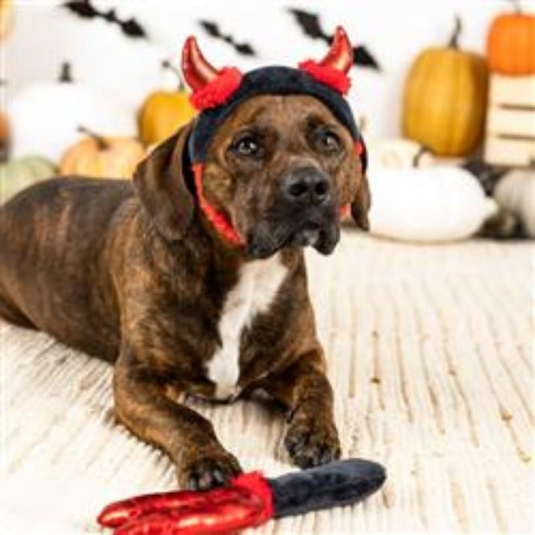 PetShop by Fringe Studio dog toys Cute lil Devil Dog Costume/ Play Set - 2 Pc