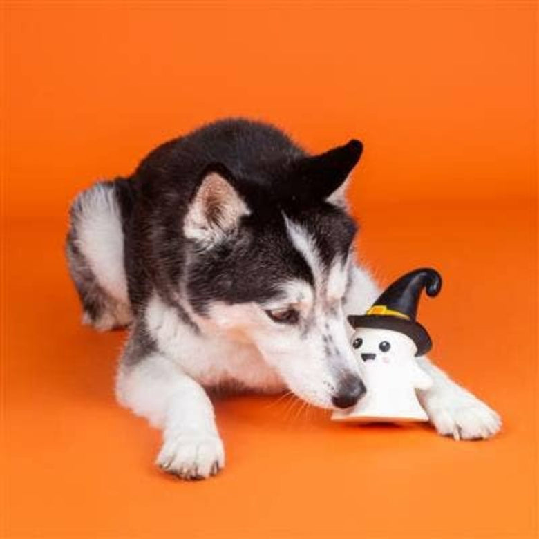 PetShop by Fringe Studio Toys Halloween One Wicked Ghost Natural Latex Squeak Dog Chew Toy