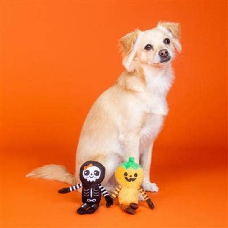 PetShop by Fringe Studio dog toys Halloween Oh My Gourd Pumpkin & Skeleton Plush Squeak Dog Toy Set - 2 Pc