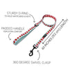 SASSY WOOF Leashes I Woof You Berry Much (Fruits) Light Blue & Pink Dog Leash